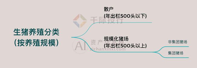 2024年中国生猪养殖行业研究