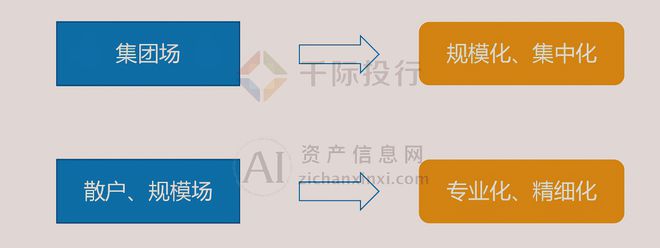 2024年中国生猪养殖行业研究(图6)