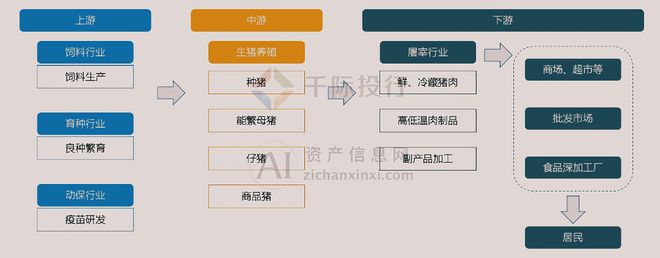 2024年中国生猪养殖行业研究(图7)