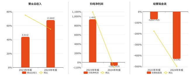 中科飞测(688361SH：2024年净利润为-115251万元同比由盈转亏
